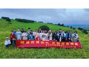 從空調房到草原天路，公司帶你解鎖夏日新體驗。